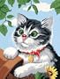 Dimensions Needlecrafts Paintworks Paint By Number, Curious Kitten