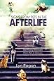 Signs From Pets In The Afterlife