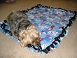 Dog Blankets By Harley for Pet Beds & Gifts - Large (Approx. 32" X 25") "FREE" 32oz. Black Paw Print Treat Canister with $50.00 Website Product Order