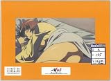 一騎当千DragonDestiny リレイズセル画 第06話C195