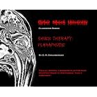 Shock Therapy: Planaphobic (At Last! Writing a Business Plan for Your Haunted House or... by Gail Strumberger