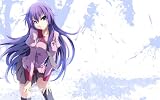 Bakemonogatari Complete tv series plus ova