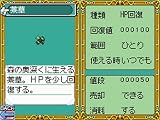 RPG�ĥ�����DS+