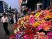 Artificial Flower Seller at Pettah Bazaar, Colombo, Sri Lanka Photographic Poster Pri...