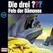 133 Fels