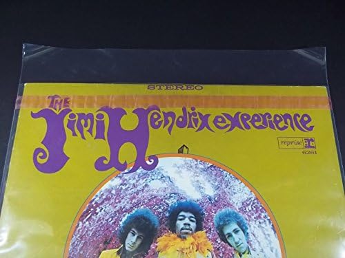 RESEALABLE 3mil for 12" LP RECORDS ~ 50 SLEEVES & 1 MAGNET ~ slim snug close fit OUTER PLASTIC