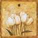 Tulpen von meinen Reisen von Herve Libaud, 18x18