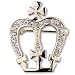 Pugster Elegant Golden Crystal Crownes Brooch Pin