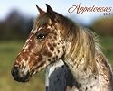 Appaloosa 2010 Calendar