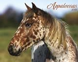 Appaloosa 2010 Calendar