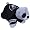 Oakland Raiders