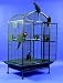 Dome Top Bird Cage 36
