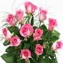 1 Doz. Pink Roses 2039
