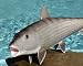 Taxidermy Quality 20" Fiberglass Bonefish Wall Mount
