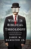 What Is Biblical Theology?: A Guide to the Bibles Story, Symbolism, and Patterns
