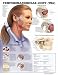 Temporomandibular Joint (TMJ) Anatomical Chart