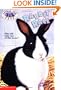 Rabbit Race (Animal Ark Pets #3)
