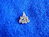 H20 Polo Sterling Silver Charm