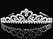 SC Bridal Tiara,Princess Gold Tiara With Crystal Flower 1053Ga