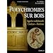 Polychromies sur bois : Appr�ts traditionnels, Couelurs-Finitions