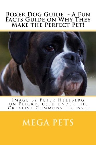 Boxer Dog Guide - A Fun Facts Guide on Why