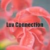  Luv Connection