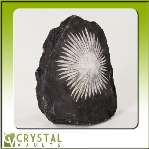 Chrysanthemum Stone