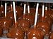 Books : Capital Caramel: The Ultimate Collection of the World's Finest Caramel Recipes