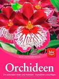 Orchideen: Die schönsten Arten und Hybriden. Auswählen und pflegen