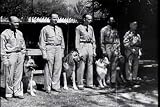 War Dogs: 1942 Army Dog Patriotic WWII Canine Drama DVD