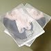 Mesh Lingerie Delicates Wash Bag 2-Pack - Household Essentials #121-2