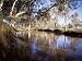 Gum Trees Beside Hann River, Central Gibb River Road, Kimberley, Western Australia, Australia Photographic Poster Print by Richard Ashworth, 12x9