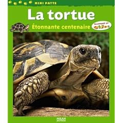 La tortue : Etonnante centenaire