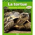La tortue : Etonnante centenaire