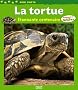 La tortue : Etonnante centenaire