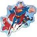 Search : Justice League Pal Size Puzzle