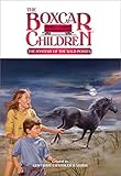 The Mystery of the Wild Ponies (The Boxcar Children Mysteries #77)