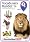 Level 1   -    First Words Set -  For Non-Verbal Kids & Kids with less than 50 words   -  5 DVDs