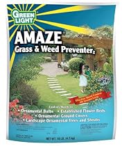 GREENLIGHT AMAZE - 8 OR 10#