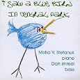 I Saw a Blue Bird in Central Park