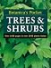 Book Trees & Shrubs (Botanica's Pocket)