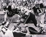 Art Thoms & Phil Villapiano Oakland Raiders 8 X 10 photo