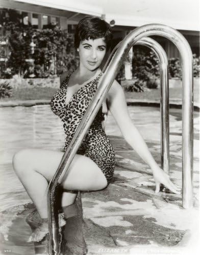 Elizabeth Taylor Photo Sexy Swimsuit Pinup Art Model Pinups Photos 8x10