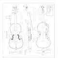 10 Violin (Charles IX) A Amati