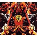 Live At 013 - Roadburn 2009