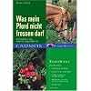 Was mein Pferd nicht fressen darf: Giftpflanzen und anderes Ungeniessbares