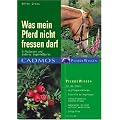 Was mein Pferd nicht fressen darf: Giftpflanzen und anderes Ungeniessbares