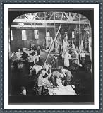 Historic Print (L): Chicago - Meat Packing Industry: dressing beef, slaughtering floor, Swift & Co.'s Packin