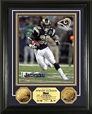 Steven Jackson Framed St. Louis Rams 24KT Gold Coin 8x10 Photo Mint