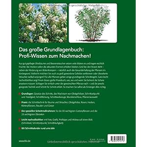 Das große BLV Handbuch Schnitt: Obst- und Ziergehölze - Rosen - Stauden